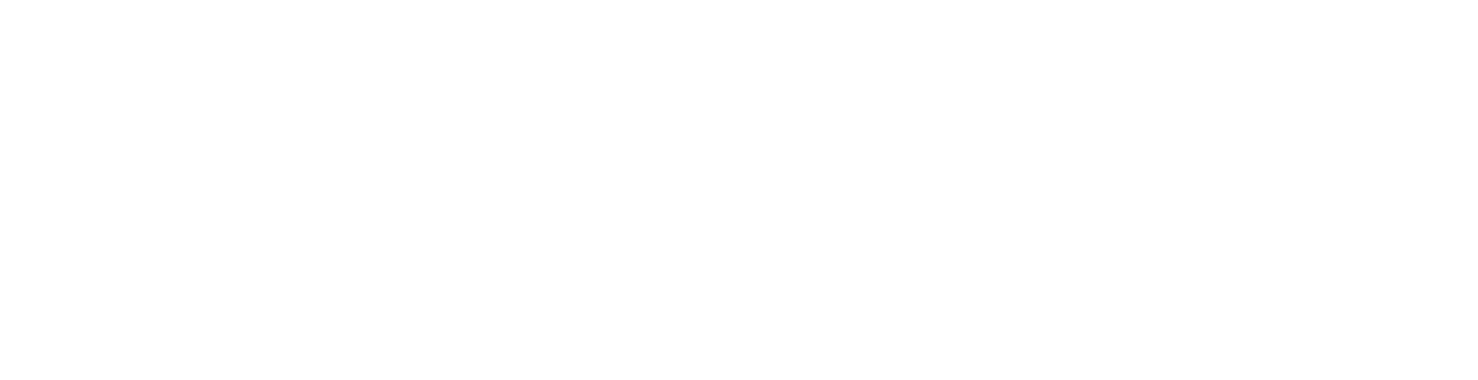 Shopstem Logo